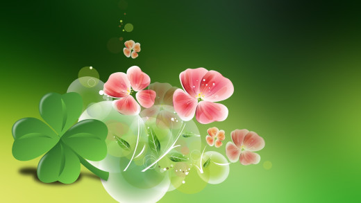 1019491 (a): :1920x1080